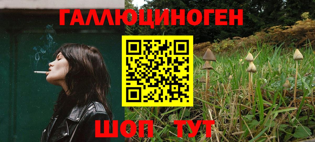 Псилоцибиновые грибы мицелий Новотроицк