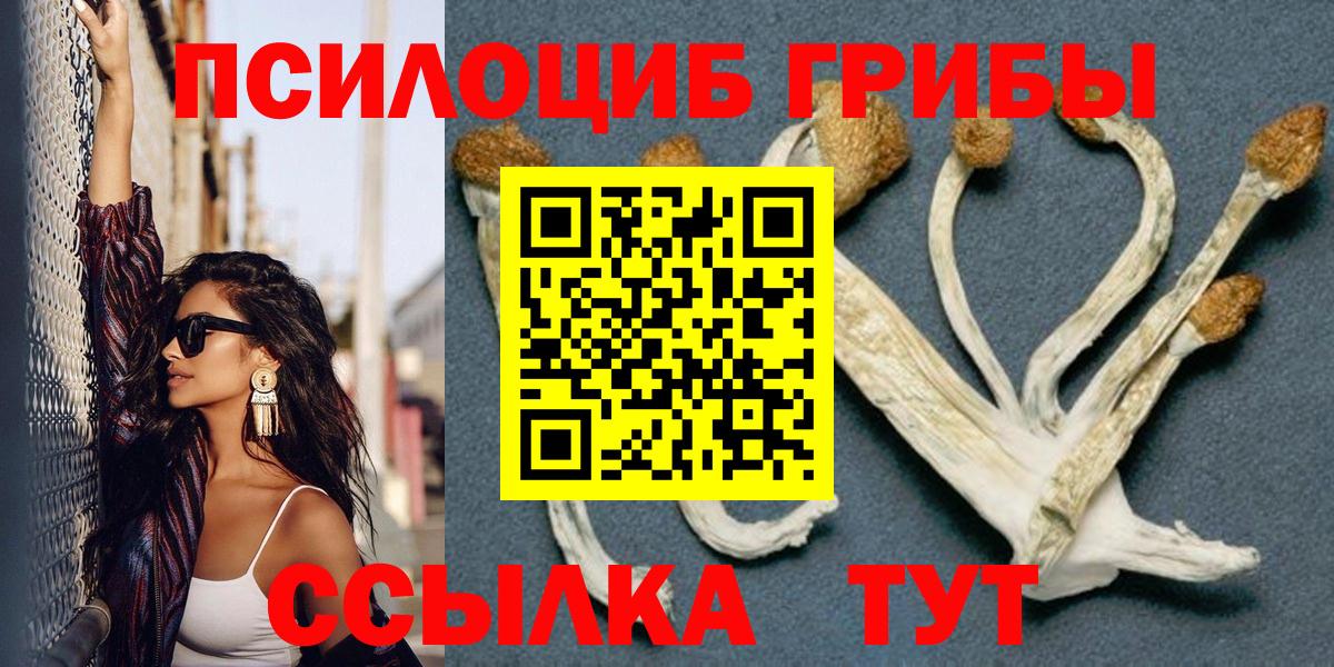 цена наркотик  Вход с VPN  Новотроицк  Галлюциногенные грибы мицелий 